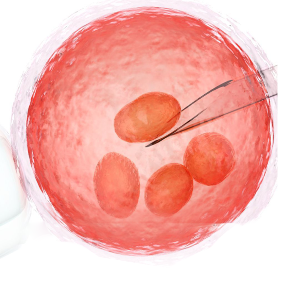 IVF Support Pack – Optimal Preparation for a Successful Journey